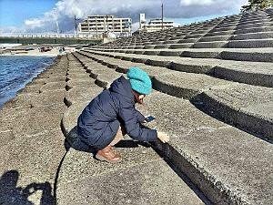 NAGOYA - Baie a Tokoname - 07.01.2024 - 03